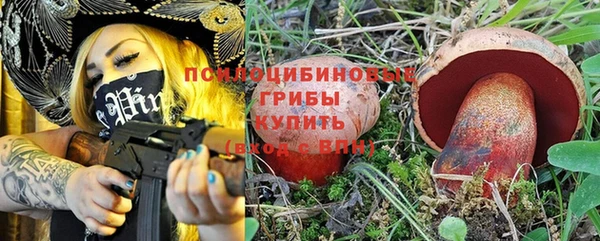 стаф Кодинск