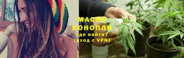 стаф Кодинск