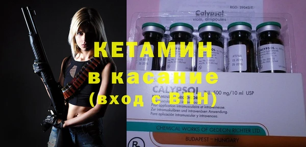 стаф Кодинск