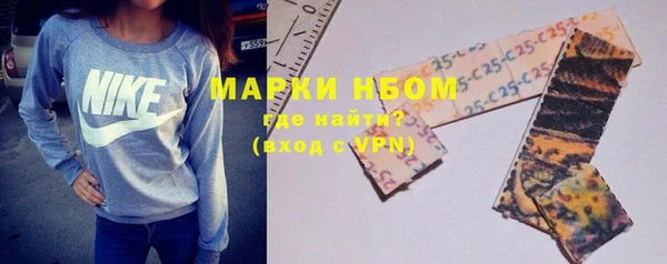стаф Кодинск