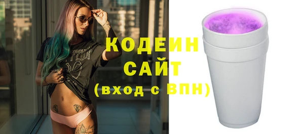 стаф Кодинск