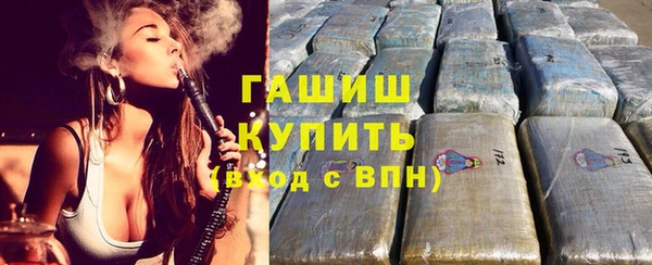стаф Кодинск