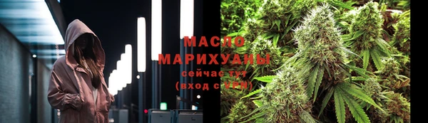 стаф Кодинск