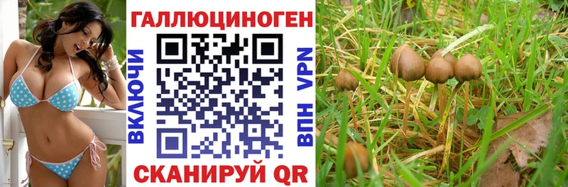 Купить закладки  Боготол  Псилоцибиновые грибы мухоморы 